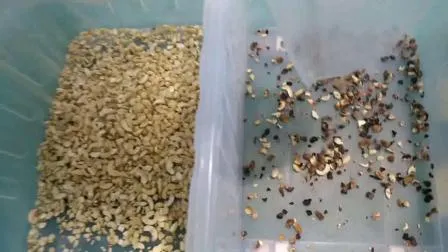 8개의 낙하산 캐슈 견과 색깔 분류 기계 캐슈 견과 색깔 선별기