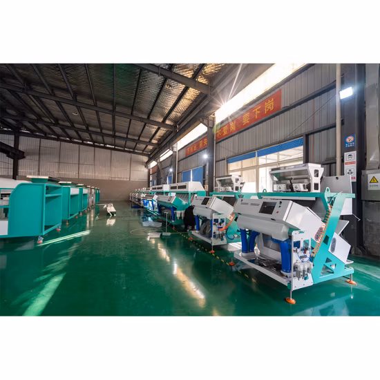 해바라기 씨 색상 분류기 기계 종자 가공 기계 종자 선택기