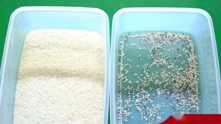 CCD 미니 쌀 색상 분류기 기계 쌀 가공 기계 쌀 선택기